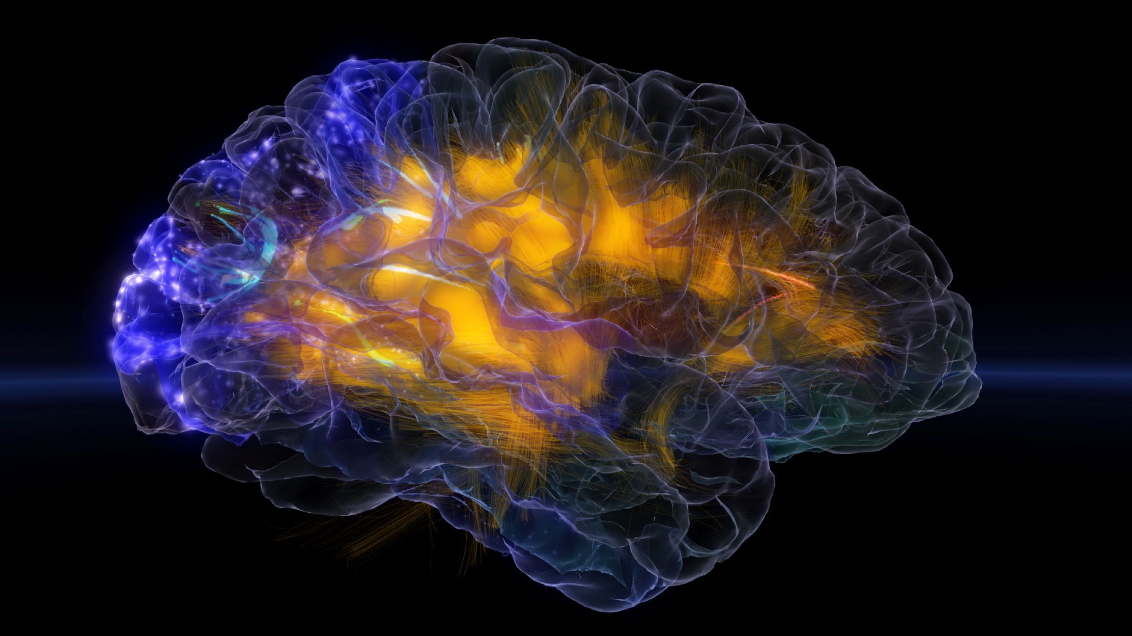 Sci-fi Illustration of a Human Brain