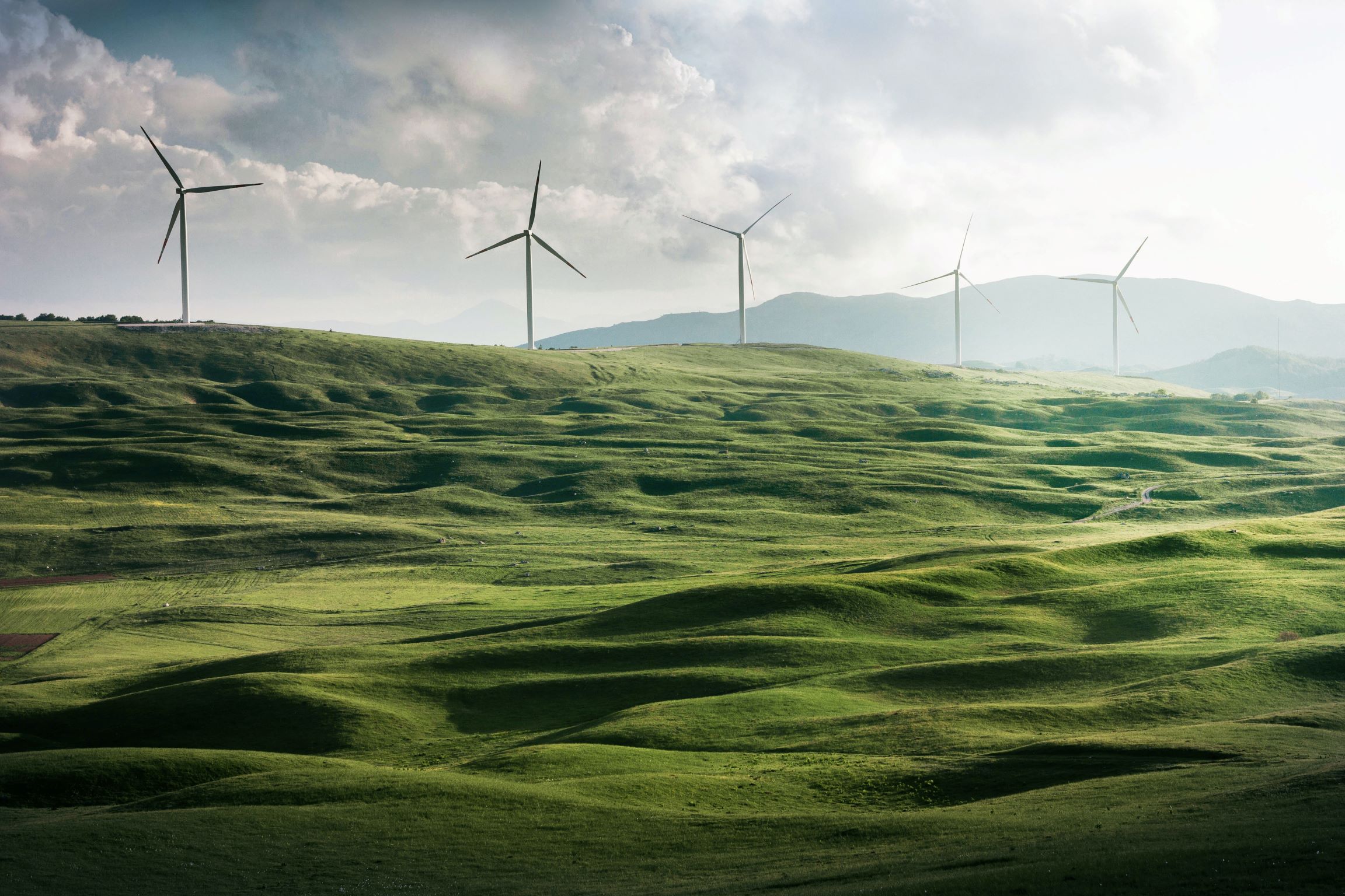 Windmill Photograph